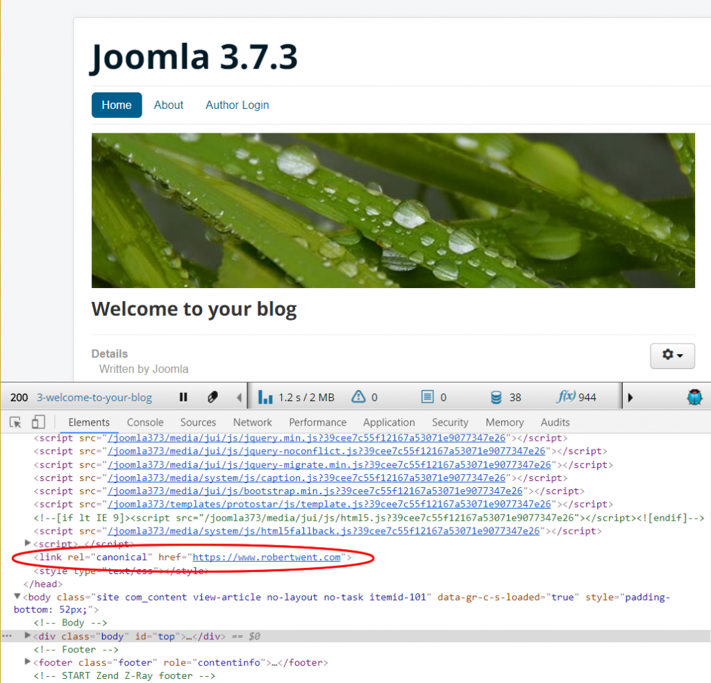 Joomla custom canonical field result