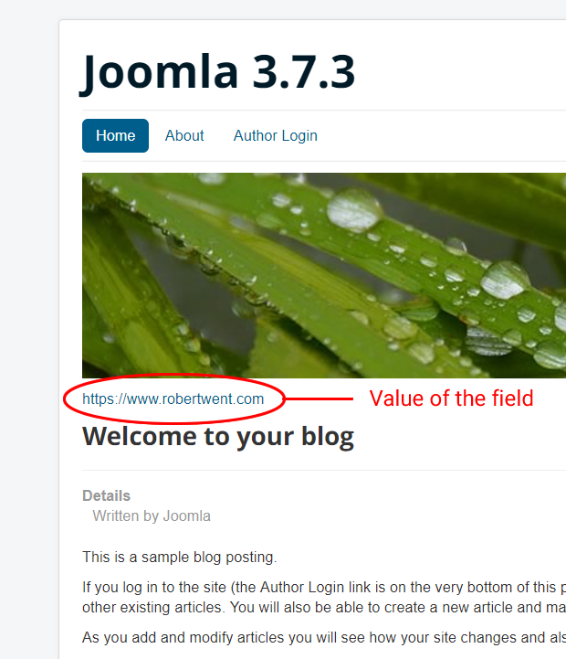 Joomla basic custom field output